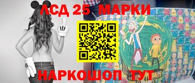гашик Сланцы
