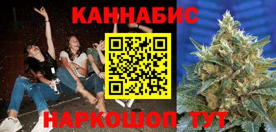 гашик Сланцы