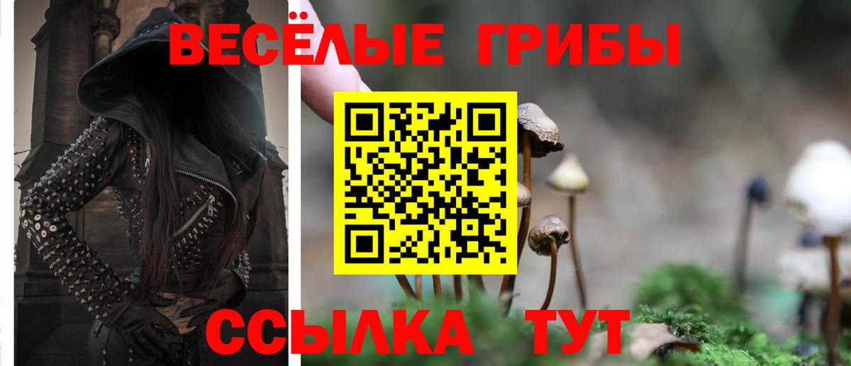 Псилоцибиновые грибы ЛСД  Галлюциногенные грибы GOLDEN TEACHER  Сальск  Вход с VPN 