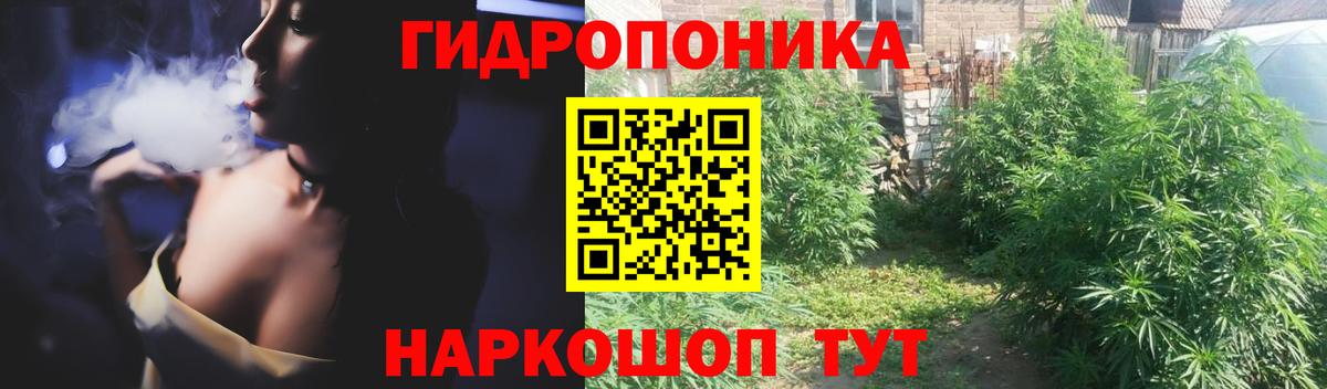 Сальск  МАРИХУАНА OG Kush  Вход с VPN  Бошки марихуана White Widow  Конопля SATIVA & INDICA 